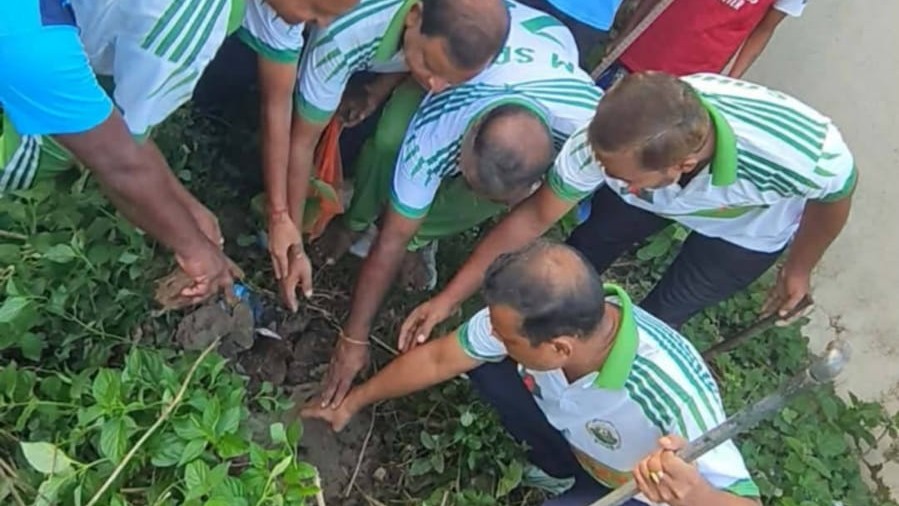 দিনাজপুরে ফুলবাড়ীতে ভোরের ফুটবলের উদ্যোগে ২০০ তালবীজ রোপণ